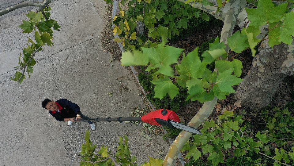Pruner Pole